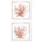 Pink Coastal Coral by Cindy Jacobs 14" x 14" Canvas Wall Art (Set of 2)